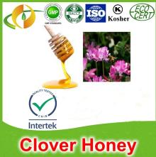  Clover   honey 