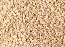 Sesame Seeds