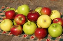 Quality fresh Apples