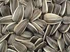 sunflower seeds kernels