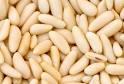 Pine nut kernel