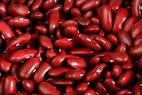 white kidney bean