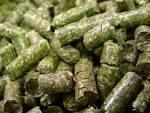 Alfalfa Pellet for Feed