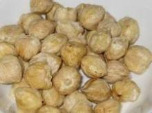  Candlenut s - Kemiri