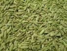 Fennel Seed