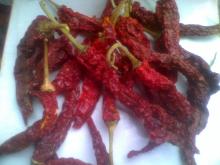 Byadgi dry red chilli