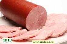 Soy Protein