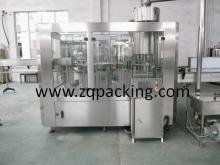 Automatic Bottle Water Filling Machine/Line /Equipment