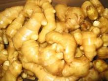 Fresh Ginger