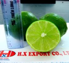 lime