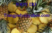 FRESH PINEAPPLE