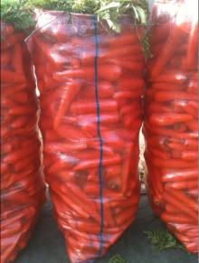  carrot  bags