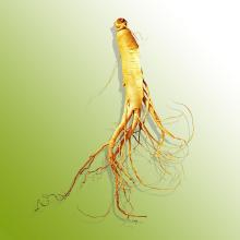 The Panaxadiol Saponins
