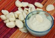 Garlic Paste