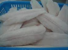 Frozen Pangasius Fillet