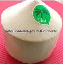 fresh young coconut
