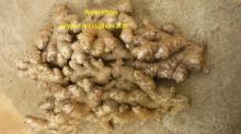 Vietnamese Ginger