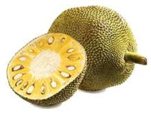 Jackfruit