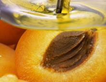  Apricot   oil  food