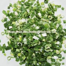 Freezed  dried   Shallot s, Dehydrated Scallion,  Dried  Green Onion