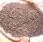 dried coffee beans