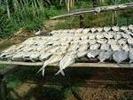 Dried fish