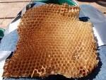 Honey comb