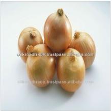 2013 Fresh Yellow Onion