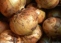 chinease yellow onion
