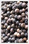BLACK PEPPER