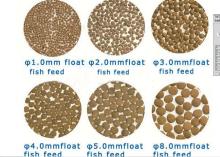 Automatic floating fish food machine
