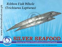 Ribbon fish