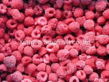 IQF raspberries,Frozen raspberries,cultivated/wild