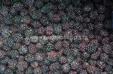 IQF blackberries,Frozen blackberries,cultivated