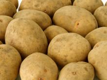  Fresh   Farm  Potatos
