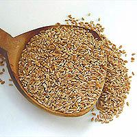 Wheat bran