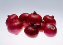 fresh onion export