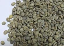 Java Robusta Coffee Beans