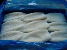  Frozen   Todarodes   Squid   Tube  interleaved packing