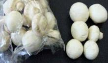  Fresh   Button   Mushroom 
