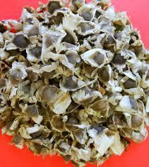 Moringa Seeds