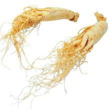 Ginseng Extract Powder 7%HPLC