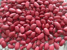 Small Red Kidney Beans