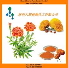  Lutein  CWS/ Lutein   Ester /Marigold Extract