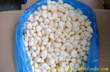 frozen garlic / garlic clove