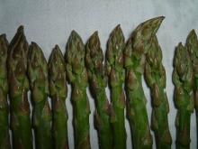 Frozen asparagus