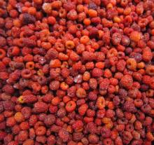 frozen raspberry