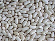 White Kidney Beans/ Chinese dried beans