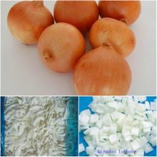 IQF Onion