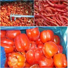  IQF   Pepper 